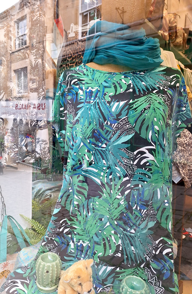 Bath Cats And Dogs Home Charity Shop Frome at Brian Huff blog